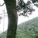 시사오늘 산전주전 / 지리산 뱀사골 이야기