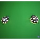 축령산휴양림입구 이미지