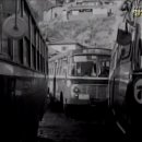 신진운수 이미지