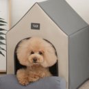 펫하우스 이미지