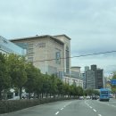 부산 동래 베이커리 카페 &#39;버터풀앤크리멀러스&#39; 롯데백화점 1층에 있어 쇼핑 전후로 방문하길 추천드려요!