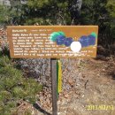 오류3리 이미지