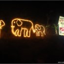 코끼리하우스민박 이미지