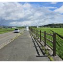 삼일조경