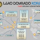 팀라이온