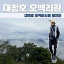 대청호오백리길 호반열녀길 | 대청호 오백리길 완주 후기｜21구간 전 구간 요약, 추천 구간