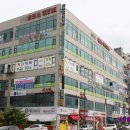 YM스킨갤러리