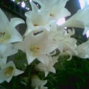 남원무도장 이미지