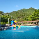 하늘숲 오토캠핑장 이미지