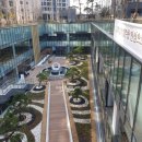 대림키즈체육관 이미지