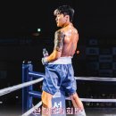 드래곤복싱체육관 이미지