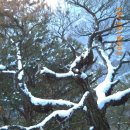 삼계리노인회관 | 문복산 산행후기...