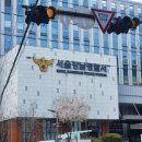 강남 안과 피부 시술 보험사기 피혐의자 경찰조사 후기 + 보험사기방지특별법