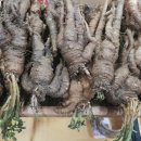 고산이모 이미지