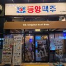 대봉동 술집 동양맥주 대봉점 맛있는 맥주 후기