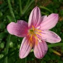 오늘더예뻐 이미지