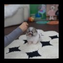 유앤미글로벌 - 구미시 | 유앤미글로벌