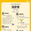 빛기획 이미지