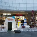 케이프유니스 이미지