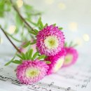 깜장고무신 이미지