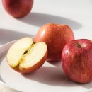 쎄븐팜영농조합법인 산지유통센터 | 영주시-현대홈쇼핑 맞손…농특산물 전국 판로 넓힌다