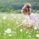 허브내음 이미지