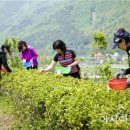 두륜산도립공원 관리사무소 이미지