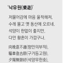 낙유원 / 이상은 이미지