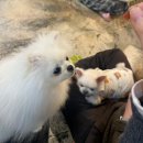 세븐일레븐 대전문화중앙점 | 성심당없이 떠나는 대전여행.(태화장/중앙시장/오문창순대국밥/노마드오븐..)