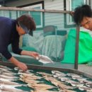 추도민박 이미지