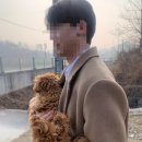 저스트도그 기업도시점 네이버블로그