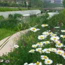 우시장천 이미지