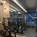 피트니스 써밋 | 써밋피트니스 새로운운동 루핀추천 여수헬스장