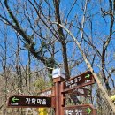 전남 진도군 동석산(219m)암릉은 용아장성 비주얼이었고 다도해의 일품 조망과 야생화는 덤이었다＜2부＞~.. 이미지