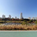 서울시니어스약국 이미지