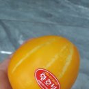 약목농협 하나로마트 기산지점 | 벌꿀참외 /꿀벌참외/칠곡기산참외/맛있는 참외 고르는 법