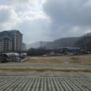 화담숲 4월 6일 자 물생활인의 방문 후기(아직 벚꽃 없음..)