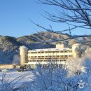 덕구온천주차장 Daum카페