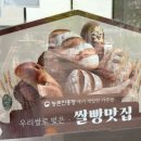 (주)삼주 | [청주] 브런치 맛집 🥐 청주 베이커리카페 🥯 흥덕제과 에버세이브점 - 솔직후기