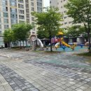 스타501 이미지