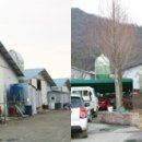 산내들농축 Daum카페