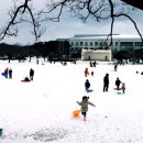 제주대학교 이미지