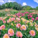 세라농장(2농장) 이미지