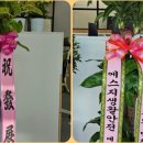 성문회계법인 이미지