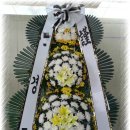 성애플라워 이미지