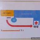 365종합의원