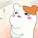 휘트니스 오름 이미지