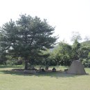 캠핑스타그램 캠핑스타일을 볼수있는 백로주 유원지 캠핑장 내 스타일 찾는 캠핑후기