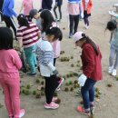 사창농장 이미지