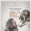 구미가축병원 | 영화 <램스> 후기_ 단조로움, 느림, 무뚝뚝함 속의 시니컬한 유머와 형제애
